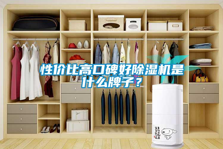 性價(jià)比高口碑好除濕機(jī)是什么牌子？