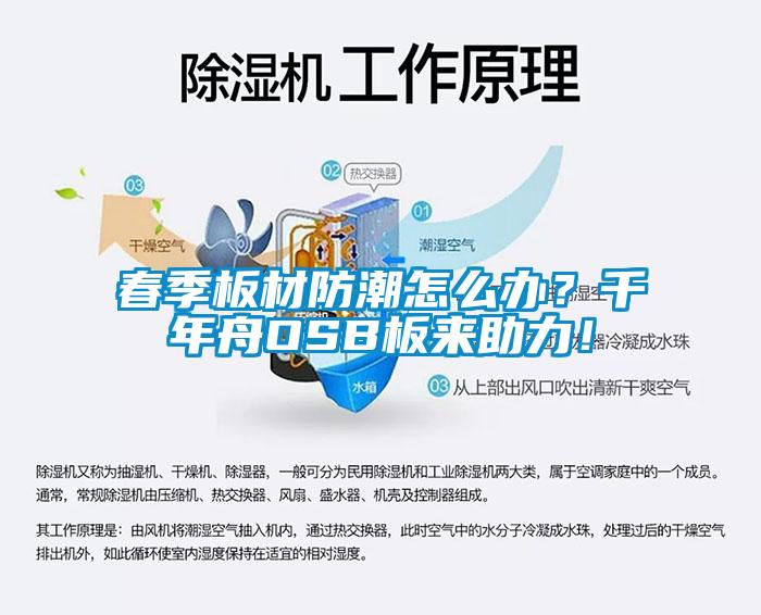 春季板材防潮怎么辦？千年舟OSB板來助力！