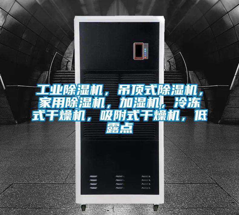 工業除濕機，吊頂式除濕機，家用除濕機，加濕機，冷凍式干燥機，吸附式干燥機，低露點