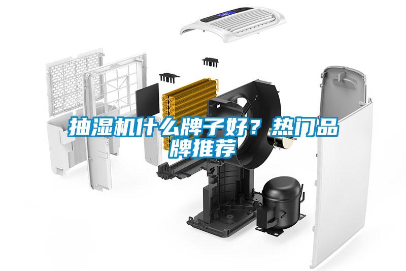 抽濕機什么牌子好？熱門品牌推薦