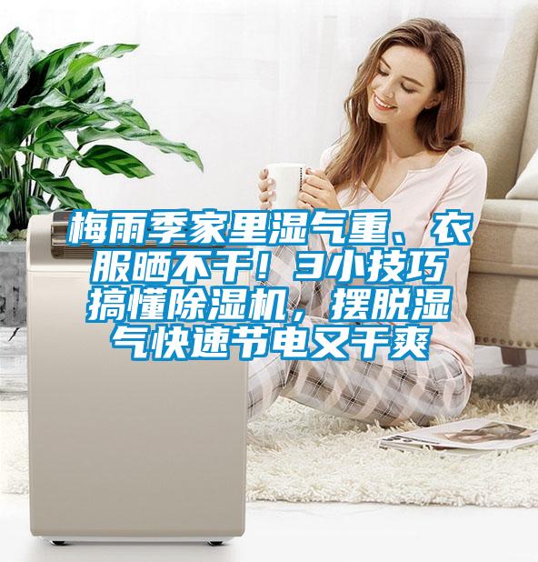 梅雨季家里濕氣重、衣服曬不干！3小技巧搞懂除濕機，擺脫濕氣快速節電又干爽