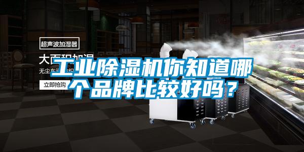工業(yè)除濕機你知道哪個品牌比較好嗎？