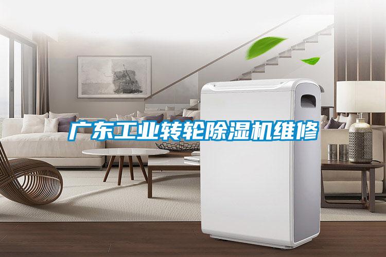 廣東工業(yè)轉輪除濕機維修