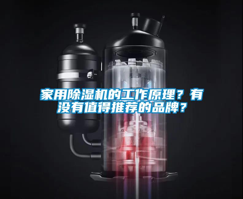 家用除濕機的工作原理？有沒有值得推薦的品牌？