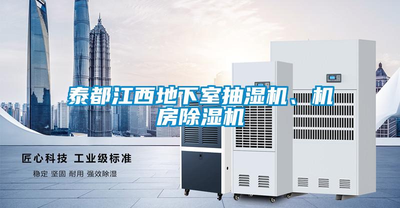 泰都江西地下室抽濕機(jī)、機(jī)房除濕機(jī)