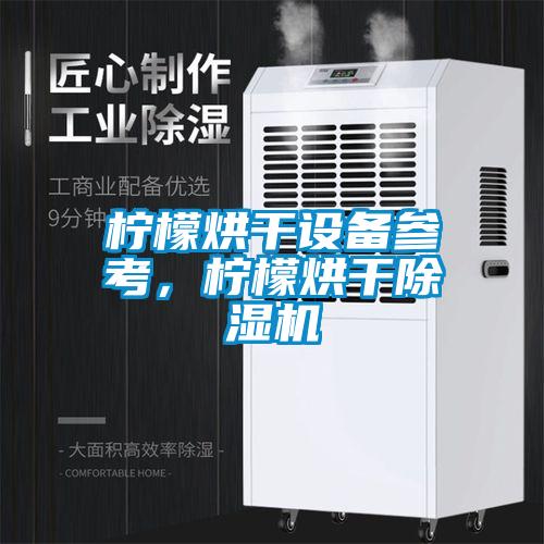 檸檬烘干設備參考，檸檬烘干除濕機