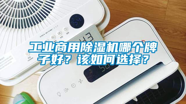 工業商用除濕機哪個牌子好？該如何選擇？