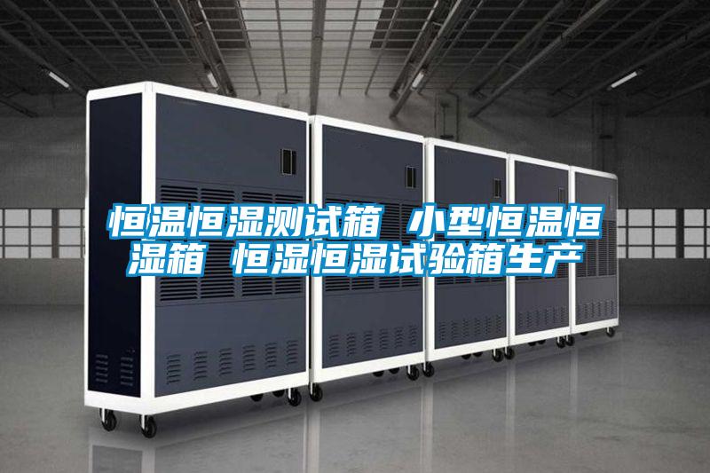 恒溫恒濕測試箱 小型恒溫恒濕箱 恒濕恒濕試驗箱生產