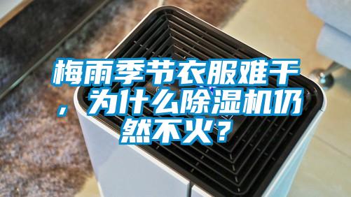 梅雨季節衣服難干，為什么除濕機仍然不火？