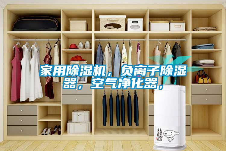 家用除濕機(jī)，負(fù)離子除濕器，空氣凈化器，