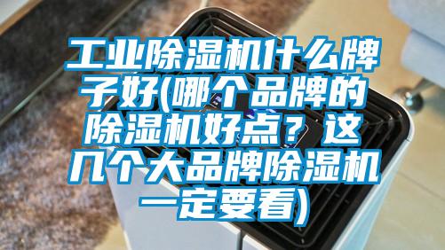 工業除濕機什么牌子好(哪個品牌的除濕機好點？這幾個大品牌除濕機一定要看)