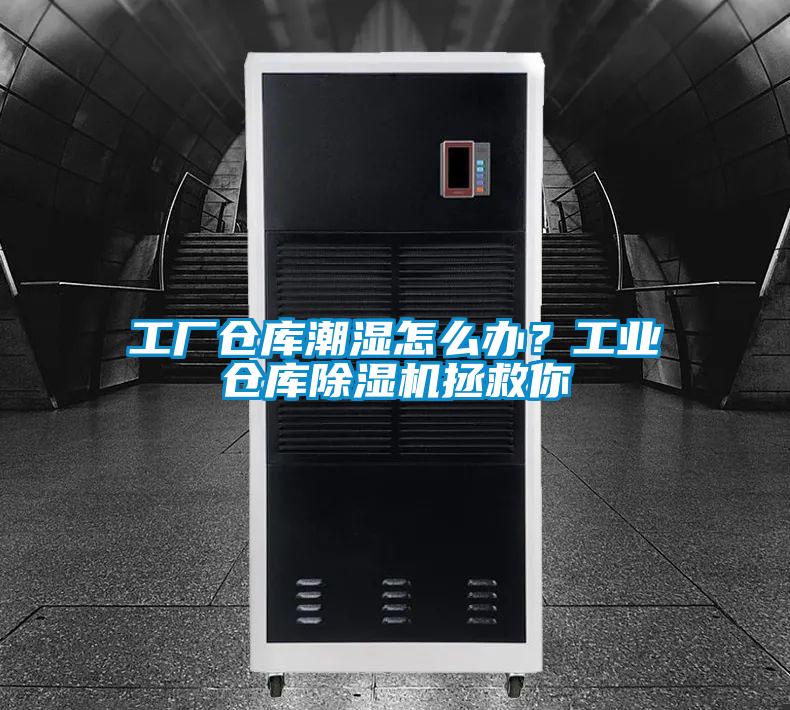 工廠倉庫潮濕怎么辦？工業(yè)倉庫除濕機(jī)拯救你