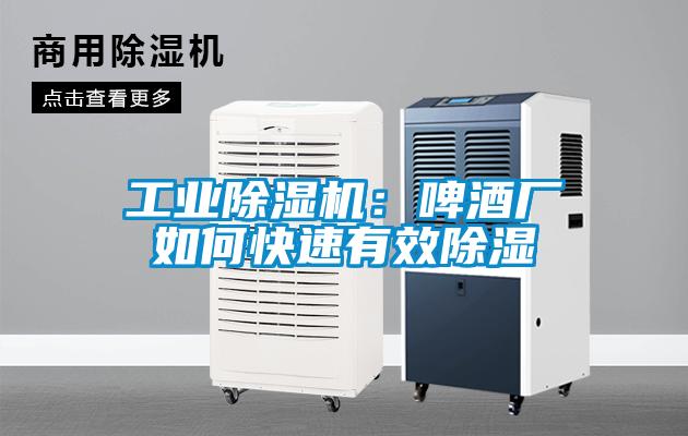 工業(yè)除濕機(jī)：啤酒廠如何快速有效除濕