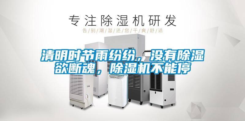 清明時節雨紛紛，沒有除濕欲斷魂，除濕機不能停