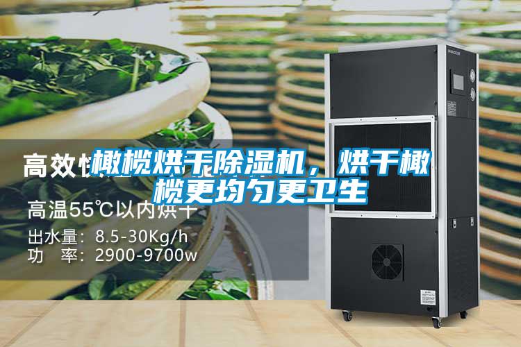 橄欖烘干除濕機，烘干橄欖更均勻更衛生