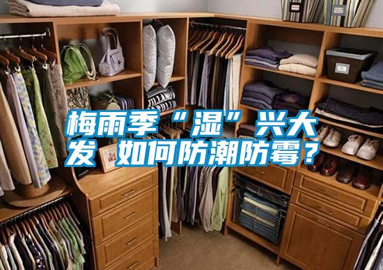 梅雨季“濕”興大發(fā) 如何防潮防霉？