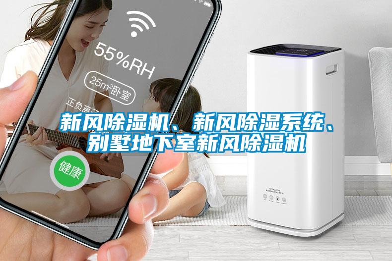 新風除濕機、新風除濕系統、別墅地下室新風除濕機