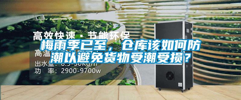 梅雨季已至，倉庫該如何防潮以避免貨物受潮受損？