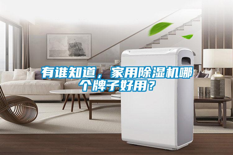 有誰知道，家用除濕機哪個牌子好用？
