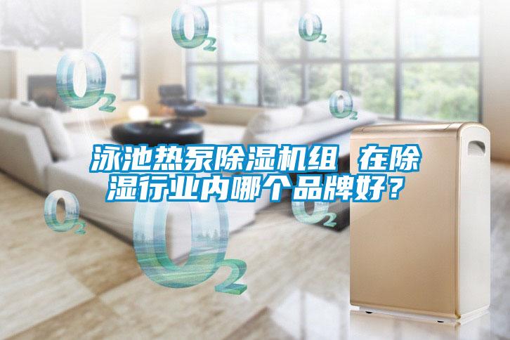泳池?zé)岜贸凉駲C(jī)組 在除濕行業(yè)內(nèi)哪個品牌好？