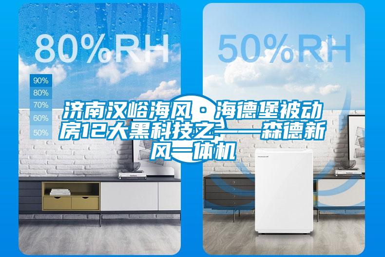 濟南漢峪海風(fēng)·海德堡被動房12大黑科技之——森德新風(fēng)一體機
