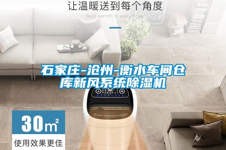 石家莊-滄州-衡水車間倉庫新風(fēng)系統(tǒng)除濕機(jī)