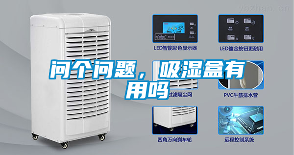 問個問題，吸濕盒有用嗎