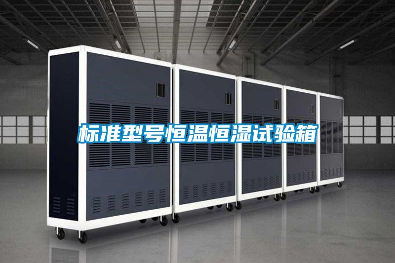 標(biāo)準(zhǔn)型號恒溫恒濕試驗(yàn)箱