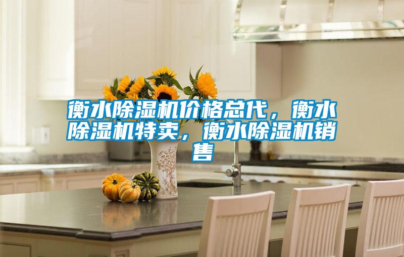 衡水除濕機(jī)價格總代，衡水除濕機(jī)特賣，衡水除濕機(jī)銷售