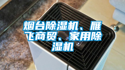 煙臺除濕機(jī)、雁飛商貿(mào)、家用除濕機(jī)