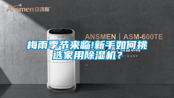 梅雨季節來臨!新手如何挑選家用除濕機？