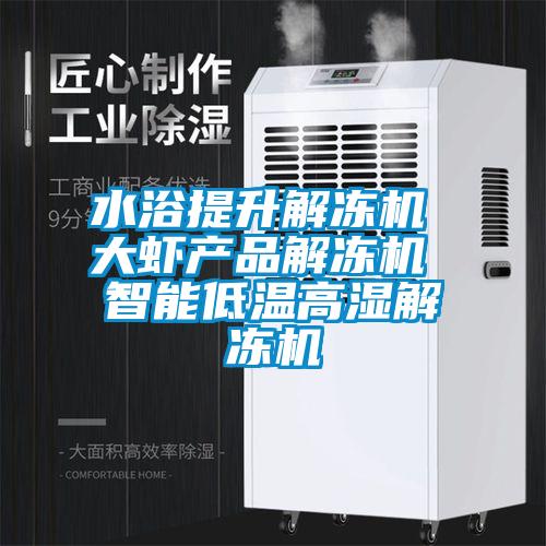 水浴提升解凍機 大蝦產(chǎn)品解凍機 智能低溫高濕解凍機