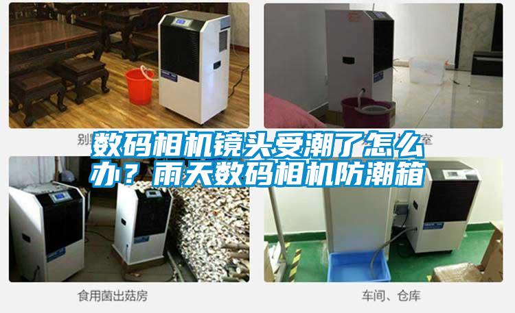 數(shù)碼相機鏡頭受潮了怎么辦？雨天數(shù)碼相機防潮箱