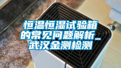 恒溫恒濕試驗(yàn)箱的常見問題解析_武漢金測(cè)檢測(cè)