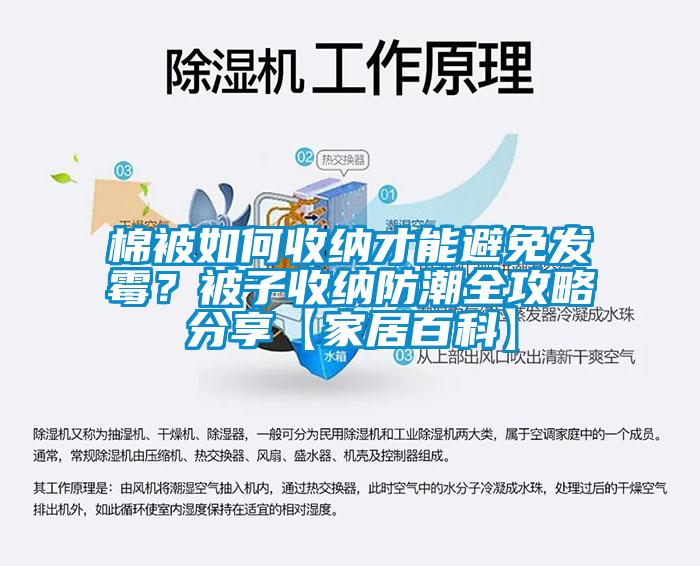 棉被如何收納才能避免發(fā)霉？被子收納防潮全攻略分享【家居百科】