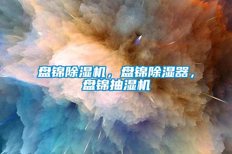 盤錦除濕機，盤錦除濕器，盤錦抽濕機
