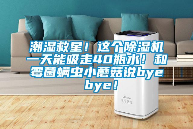 潮濕救星！這個除濕機一天能吸走40瓶水！和霉菌螨蟲小蘑菇說bye bye！