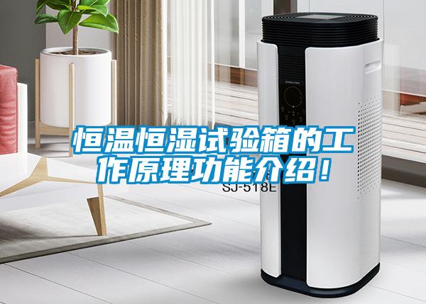 恒溫恒濕試驗箱的工作原理功能介紹！