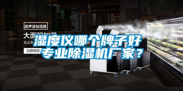 濕度儀哪個牌子好 專業除濕機廠家？
