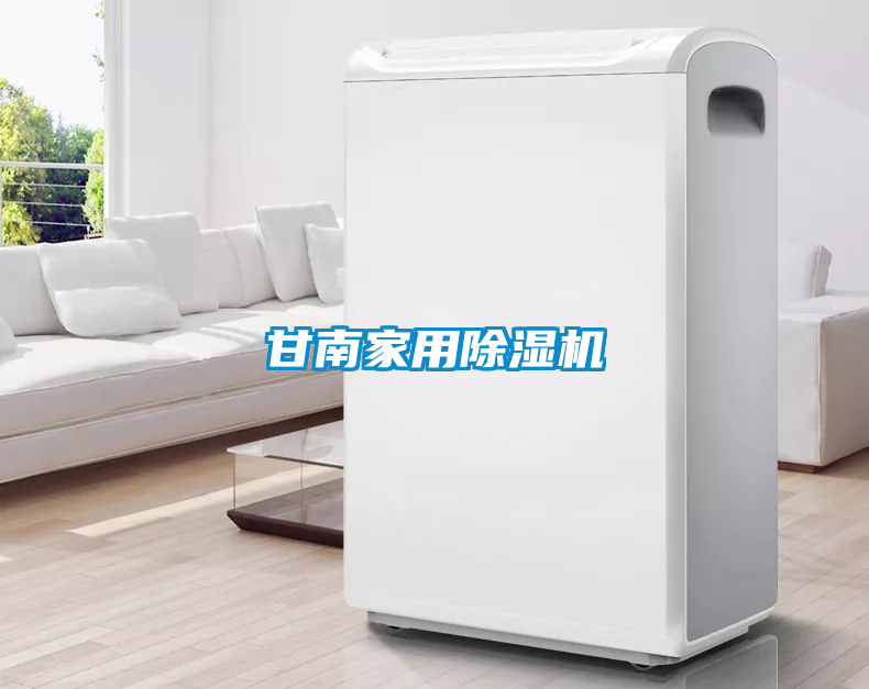 甘南家用除濕機(jī)