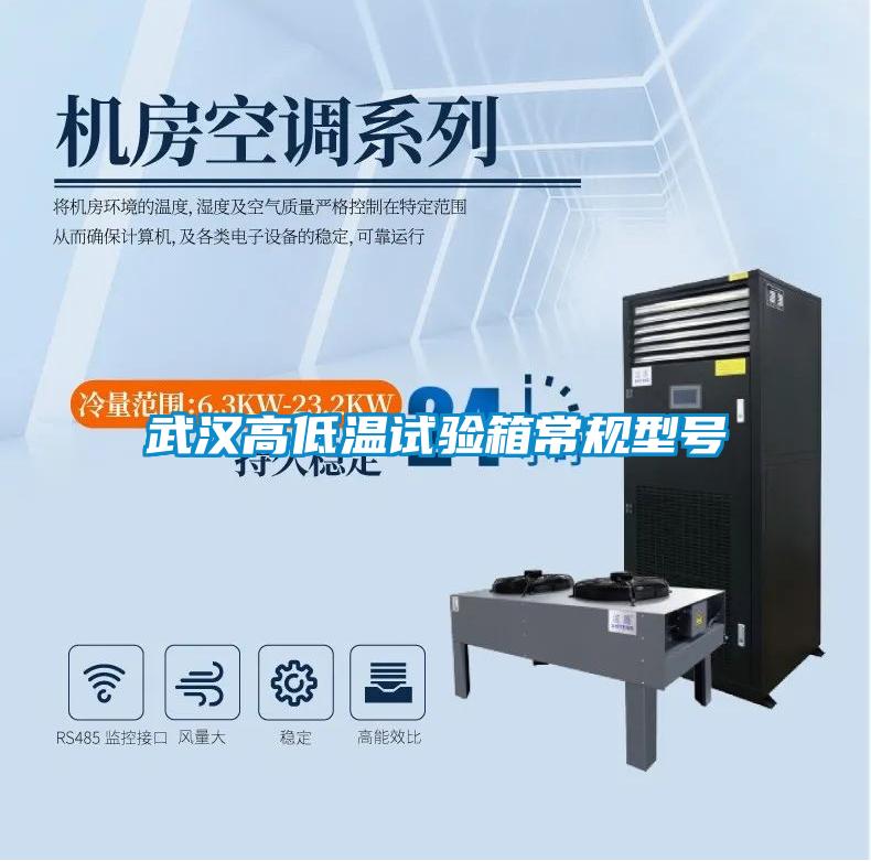 武漢高低溫試驗(yàn)箱常規(guī)型號(hào)