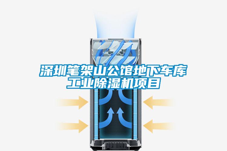 深圳筆架山公館地下車庫(kù)工業(yè)除濕機(jī)項(xiàng)目