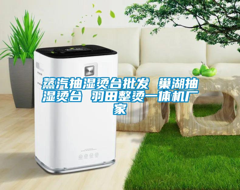 蒸汽抽濕燙臺批發(fā) 巢湖抽濕燙臺 羽田整燙一體機(jī)廠家