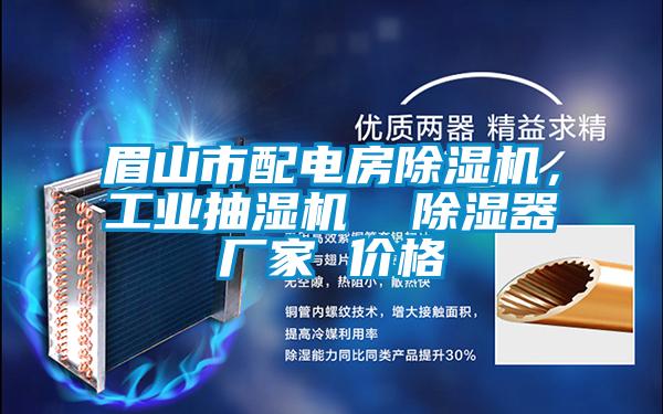 眉山市配電房除濕機，工業(yè)抽濕機  除濕器廠家 價格