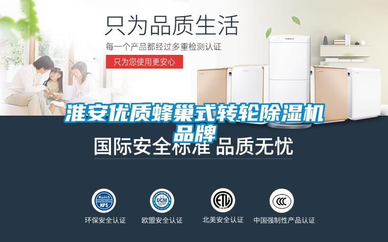 淮安優(yōu)質蜂巢式轉輪除濕機品牌