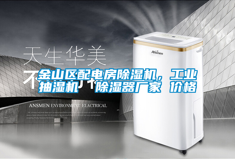 金山區(qū)配電房除濕機(jī)，工業(yè)抽濕機(jī)  除濕器廠家 價格