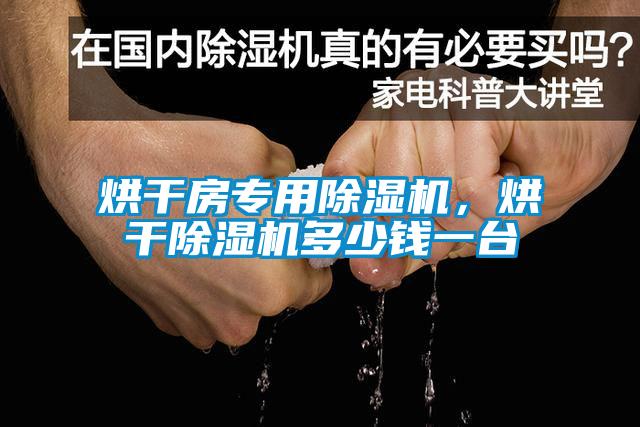 烘干房專用除濕機，烘干除濕機多少錢一臺