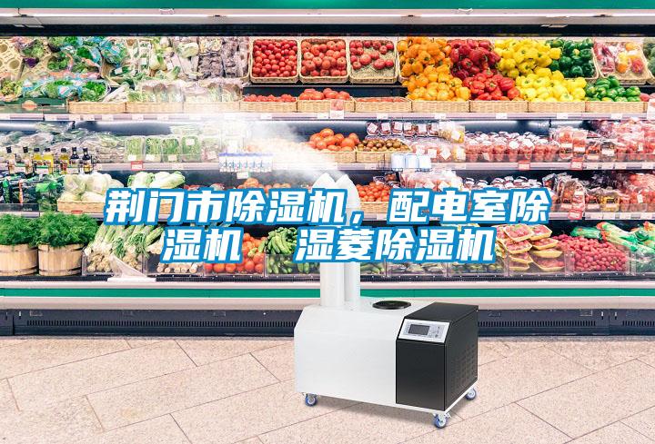 荊門市除濕機，配電室除濕機  濕菱除濕機