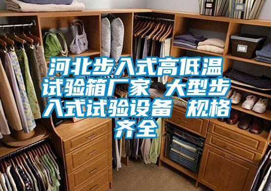 河北步入式高低溫試驗箱廠家 大型步入式試驗設備 規(guī)格齊全