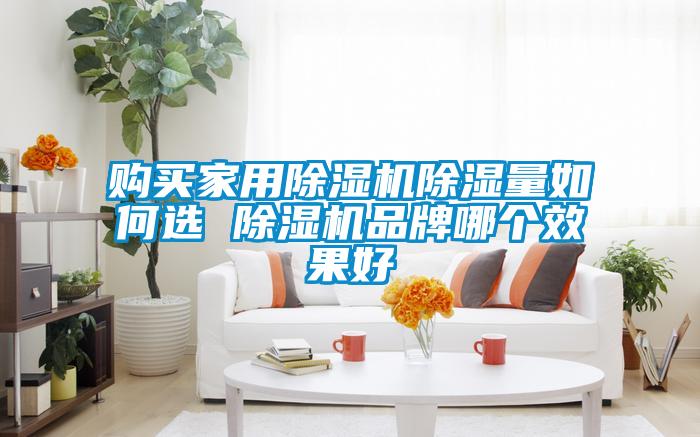 購買家用除濕機(jī)除濕量如何選 除濕機(jī)品牌哪個效果好